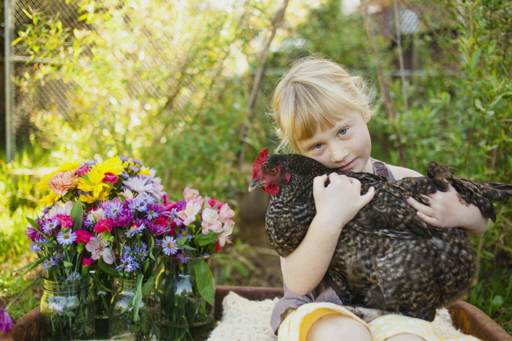 Little Girl Holding Rooster
