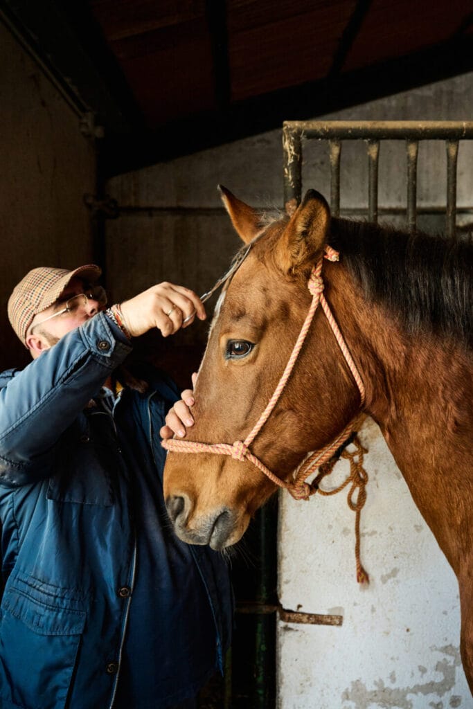 Man grooming horse in stable